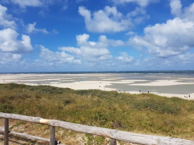 Voorjaar op Texel